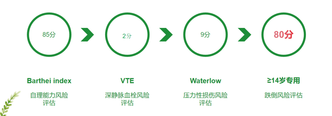 大众网澳门大众网论坛,结构化推进计划评估_6DM51.481