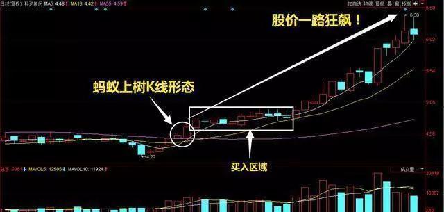 苏州科达股票最新动态全面解读