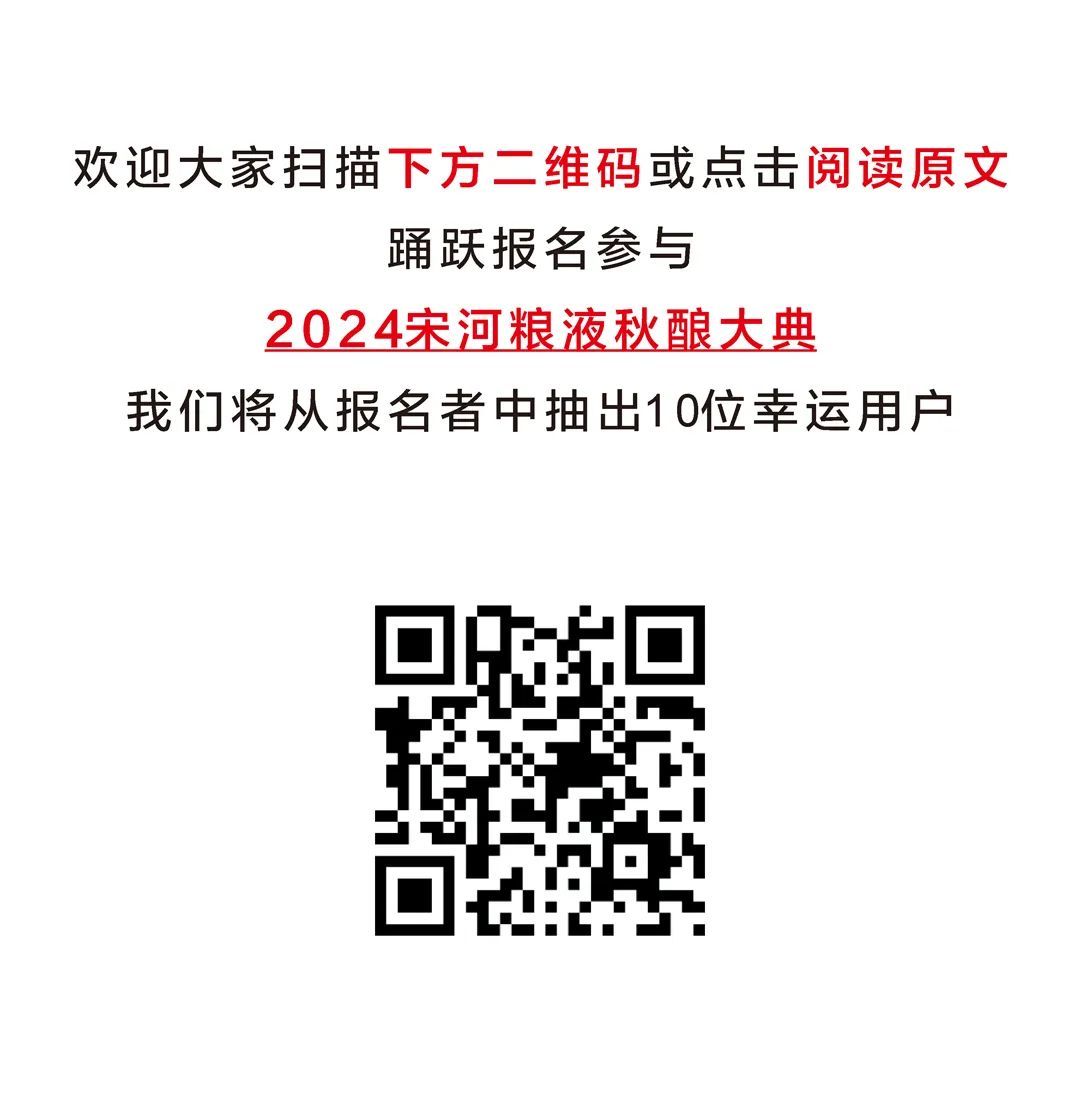 新澳资料大全正版2024金算盘,灵活操作方案设计_Prestige69.919