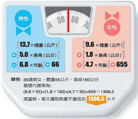 新澳门资料大全正版资料2024年免费下载,家野中特,高效实施方法解析_粉丝版335.372