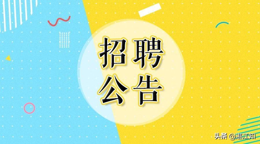 合肥滨湖最新招聘信息全面解析