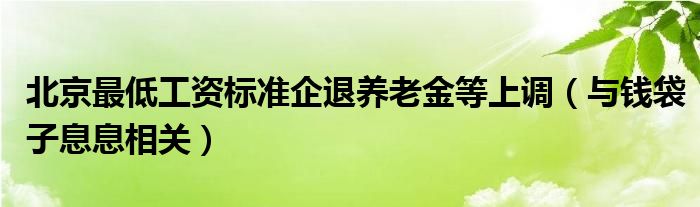 北京企业退休职工养老金最新动态全面解读